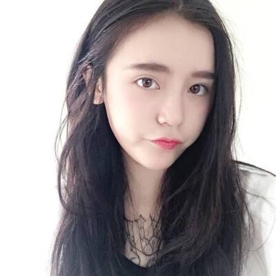 功夫全明星手游果盘版下载